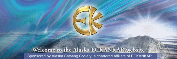 the Alaskan aurora banner